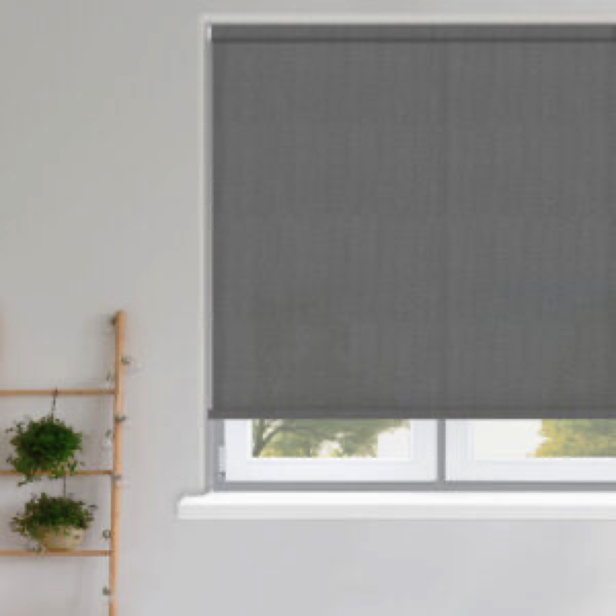 Roller Blinds